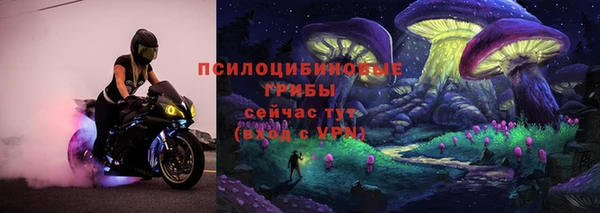 спиды Горняк