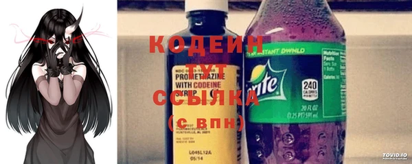 спиды Горняк