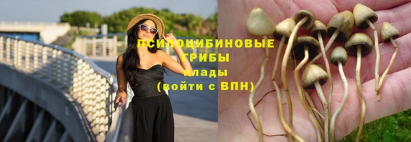 кристаллы Гусь-Хрустальный