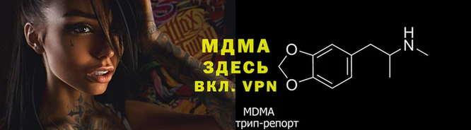спиды Горняк