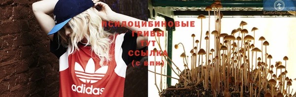 кристаллы Гусь-Хрустальный