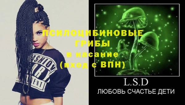 спиды Горняк