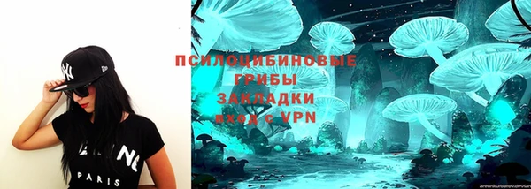 кристаллы Гусь-Хрустальный