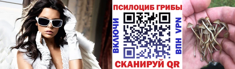 Галлюциногенные грибы ЛСД  где купить наркотик  Дубовка 